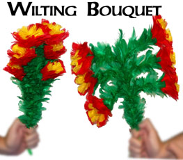(image for) Wilting Bouquet of 6 Flowers